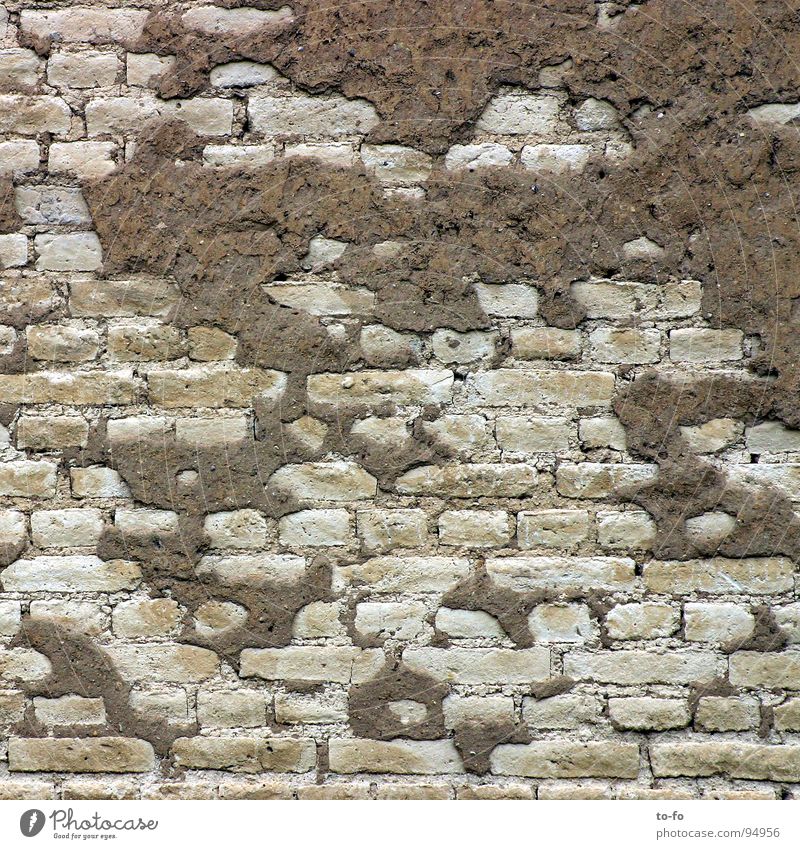 wall Wall (barrier) Wall (building) Brick Plaster Ruin Decline Redecorate Construction site Gray Craft (trade) Derelict Old Structures and shapes