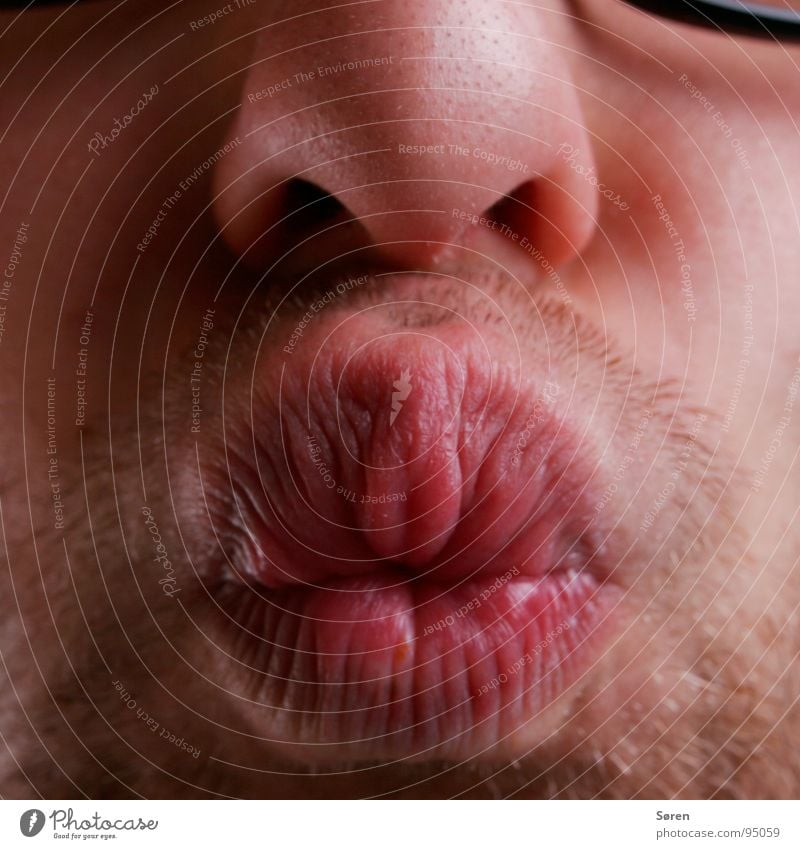 Big kiss Sulk Lips Kissing Smacker Pug nose Facial hair Grimace Face Oral Mouth Nose Designer stubble Funny Brash Distorted Pout