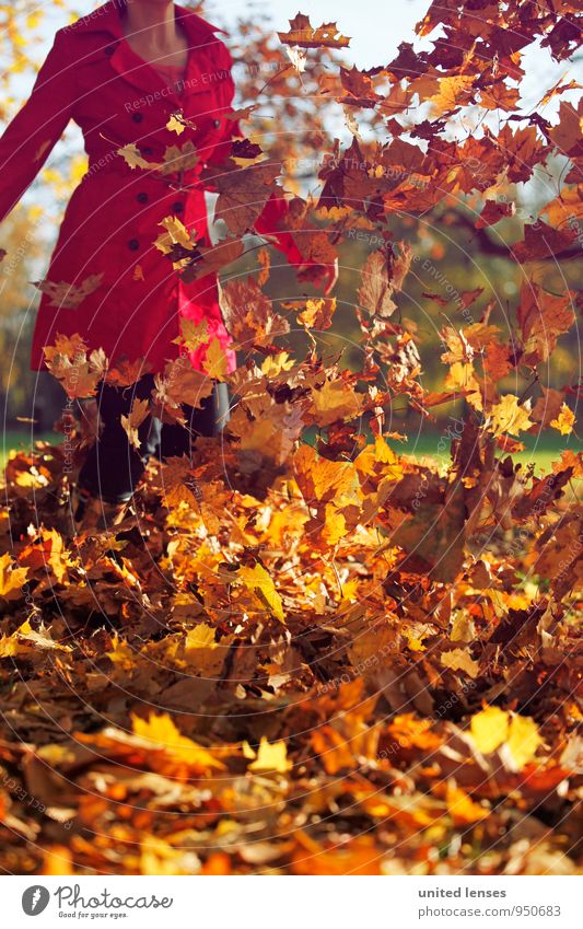 AK# autumn bang Art Esthetic Contentment Autumnal Autumn leaves Autumnal colours Early fall Autumnal weather Automn wood Autumnal landscape Autumn wind