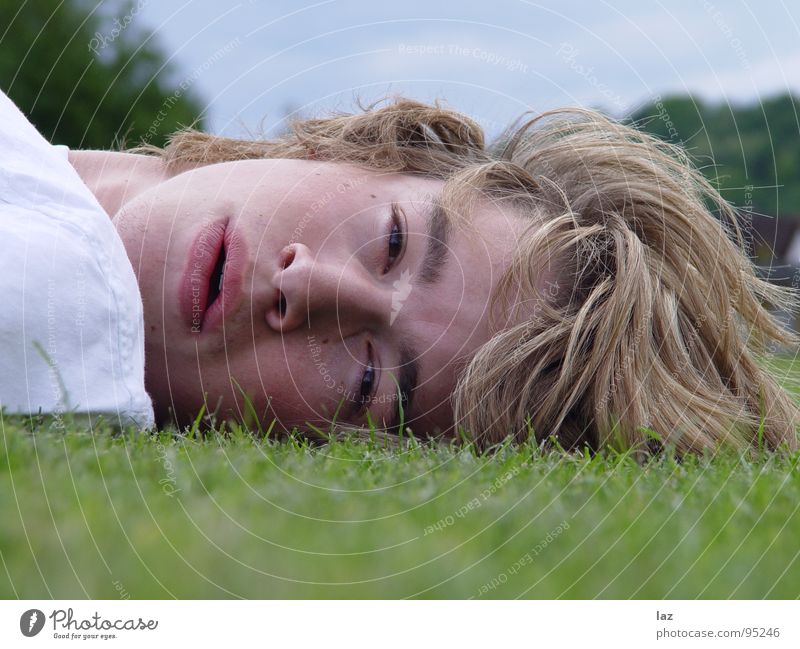 Look at me Man Blonde Portrait photograph Longing Future Thought Philosophy Think Lips Eyelash Eyebrow White Shadow Landscape format Relaxation Break Grass