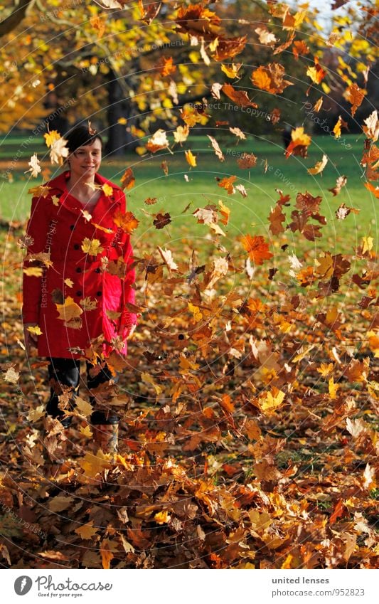 AK# autumn rain Art Esthetic Contentment Leaf Deciduous tree Deciduous forest Leafing through Autumnal Autumn leaves Autumnal colours Early fall