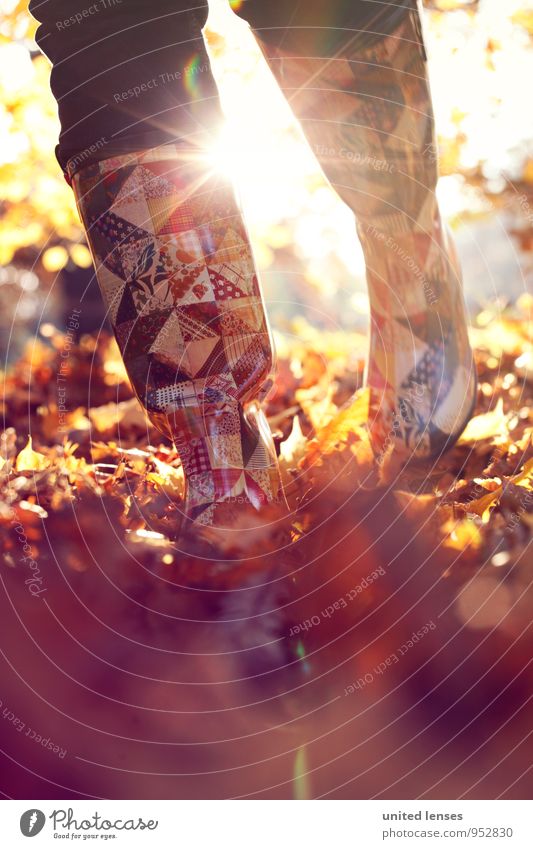 AK# Autumn fashion Environment Nature Landscape Plant Esthetic Contentment To go for a walk Walking Stride Rubber boots Autumnal Autumn leaves Autumnal colours