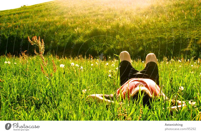 enjoy the sun Relaxation Summer Sun Human being Masculine Arm Legs 1 Environment Nature Landscape Plant Weather Beautiful weather Warmth Grass Meadow Hill