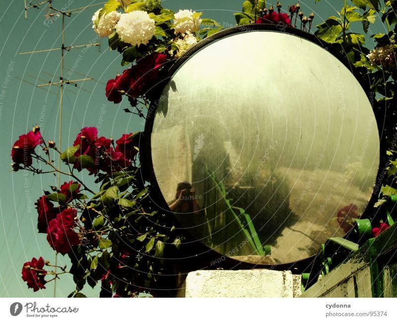 Come In And Find Me Portugal Decline Vacation & Travel Discover Foreign Alley Summer Romance Beautiful Curiosity Optimism Mirror Flower Antenna Reflection