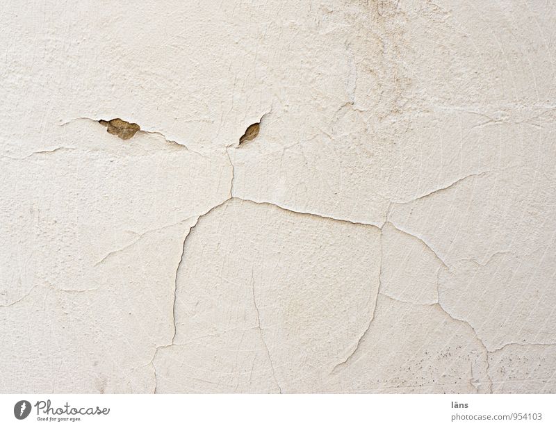 curmudgeon Face Dangerous Unfriendly Ferocious Wall (building) Wall (barrier) Crack & Rip & Tear