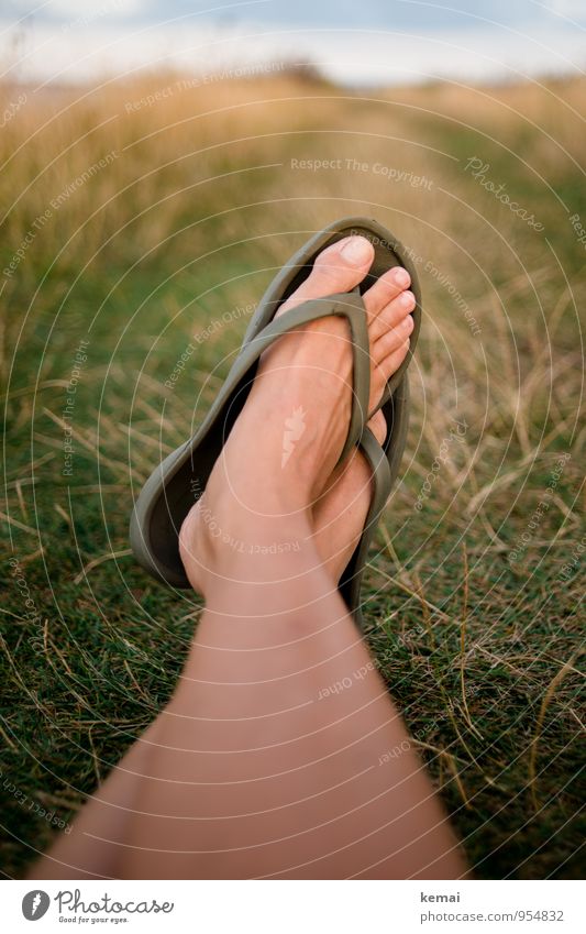 English Summer Vacation & Travel Tourism Freedom Summer vacation Human being Feminine Woman Adults Life Legs Feet Toes Skin 1 Grass Lanes & trails Flip-flops