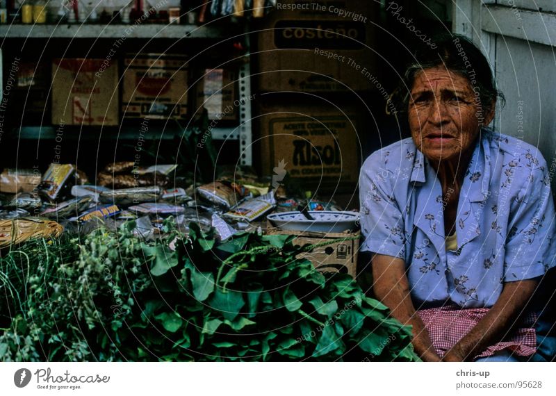 Herbs woman 2 Peru Lima Senior citizen Herbs and spices South America Americas Market trader Market stall Farmer Woman Vacation & Travel Work and employment