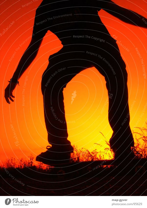 friday night skateboarding Leisure and hobbies Sports Cool (slang) Skateboarding Sunset sun evening Colour photo Copy Space bottom Neutral Background Silhouette