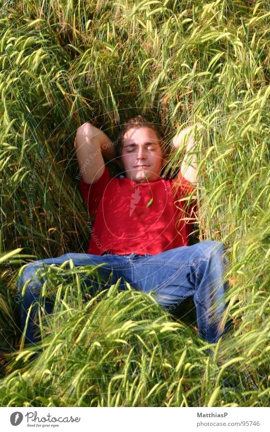 Sleeping in the barley field Field Summer Wheat Wheatfield Man Good mood Whim Contentment Calm Flower To enjoy Grass Flexible Easygoing Barley Idyll Live