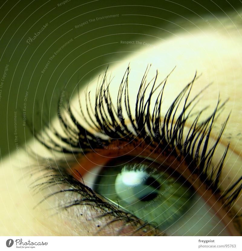 green eye Face Eyes Lake Green Pupil Eyelash Iris lashes Close-up Macro (Extreme close-up) Looking