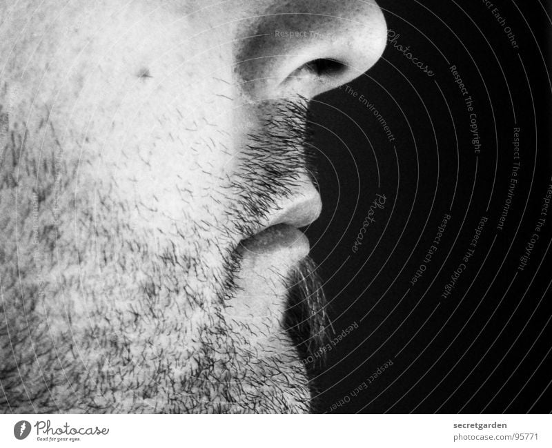 look to the right Man Silhouette Profile Facial hair Chin Moustache Calm Light Side Indifference Room Shave Masculine Meditation Black & white photo Close-up