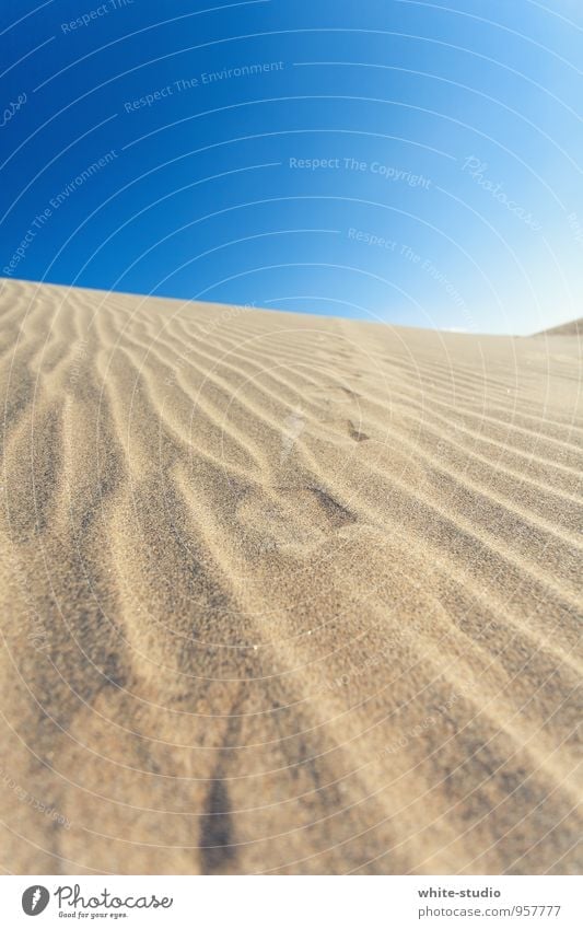 windswept Sand Hot Footprint Beach dune Desert Sanddrift Tracks Tracking Furrow Sandy beach Drought Dry Summer vacation Warm-heartedness Vacation & Travel