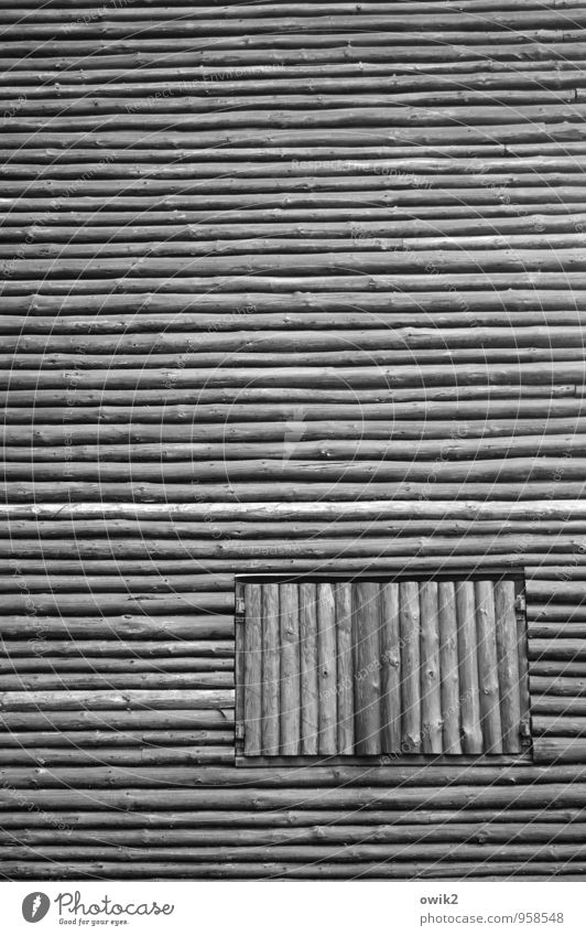 Closed event Hut Wooden hut Wall (barrier) Wall (building) Facade Window Firm Ignorant Equal Protection Exclude Stay Black & white photo Exterior shot Close-up