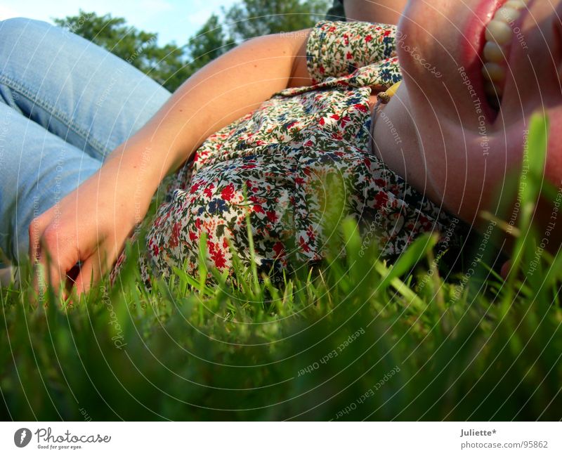 even more joy Peace Meadow Multicoloured Joy Laughter Lawn Colour