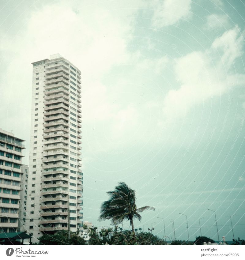 stormy weather House (Residential Structure) Storm Gale Building High-rise Town Tree Palm tree Cuba Havana Sky Clouds Free Relaxation Longing Wanderlust