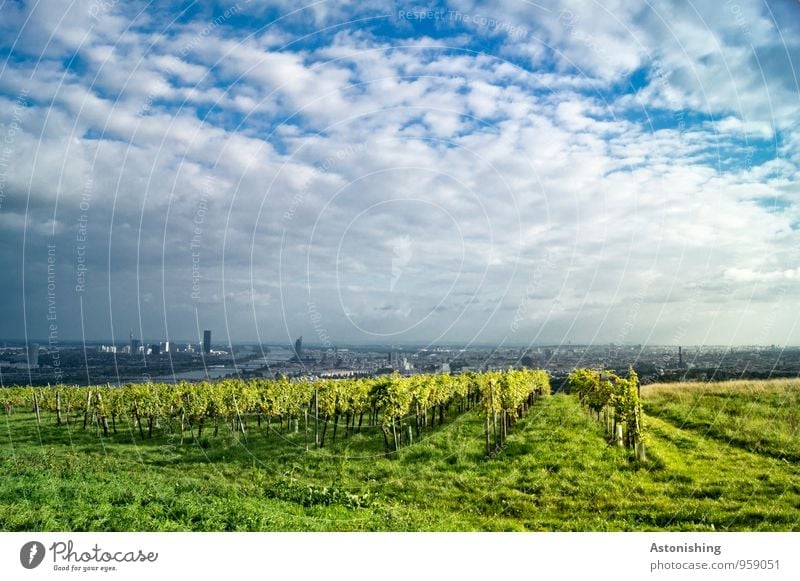 View of Vienna Environment Nature Landscape Plant Air Sky Clouds Horizon Autumn Weather Beautiful weather Grass Bushes Agricultural crop Meadow Hill River
