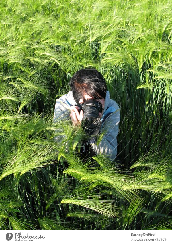 Fields of Green Man Barley Crouch Take a photo Summer Human being Camera EOS Fry2k Nature agricultural sciences Observe Hair and hairstyles Sit Dirty