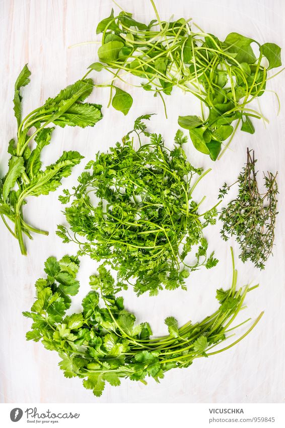 Fresh green herbs on white wooden table Food Vegetable Lettuce Salad Herbs and spices Nutrition Organic produce Vegetarian diet Diet Style Design Healthy Eating