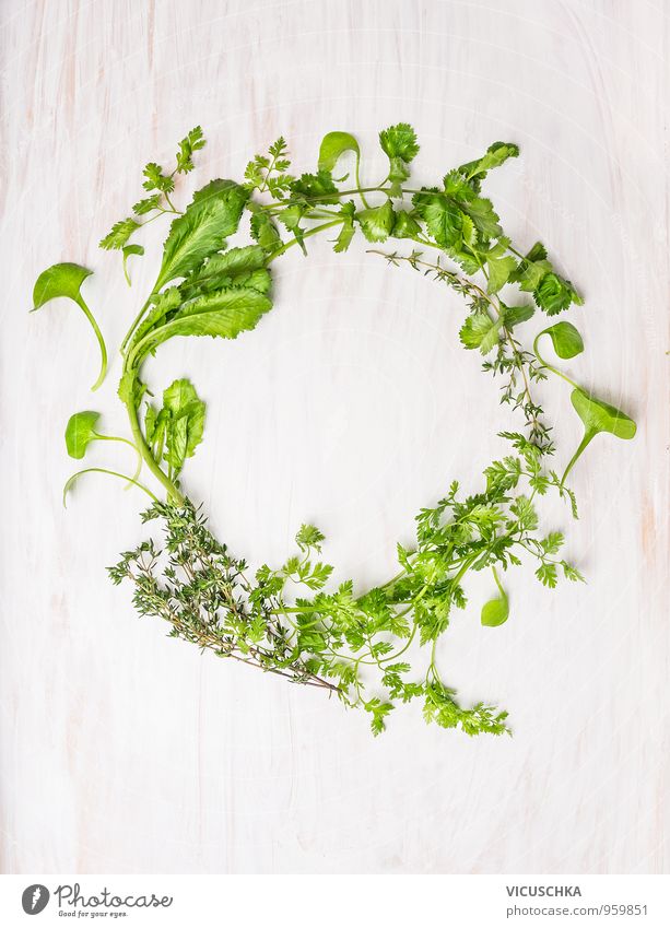 Healthy wreath of green herbs Food Vegetable Lettuce Salad Herbs and spices Nutrition Organic produce Vegetarian diet Summer Nature Plant Jump Design Oregano