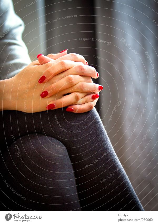 conversation Elegant Style Beautiful Nail polish Harmonious Young woman Youth (Young adults) Hand Fingers Legs 1 Human being 18 - 30 years Adults Tights Sit