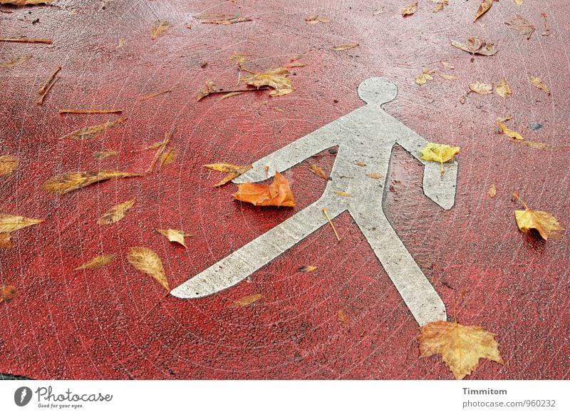 Live with leaves. Autumn Leaf Street Signs and labeling Lie Yellow Red White Emotions Warning label Pedestrian Colour photo Exterior shot Deserted