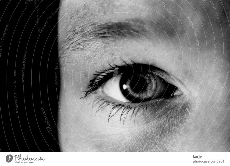 Katrin Eyes Feminine Woman Detail Black & white photo Head