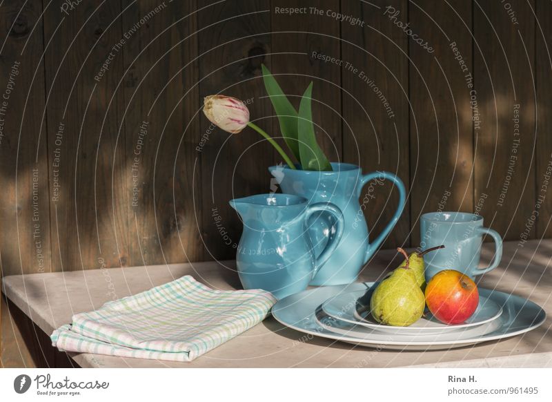 FruitStill with Tulip Crockery Plate Mug Beautiful weather Blue Vase Dish towel Apple Pear Colour photo Exterior shot Deserted Copy Space left Copy Space right