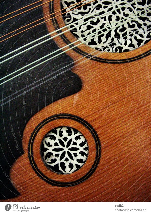 Arabic Lute Elegant Style Design Exotic already Music Art Culture Musical instrument Tone wood Plastic Ornament Arabesques Fantastic Near Harmonious
