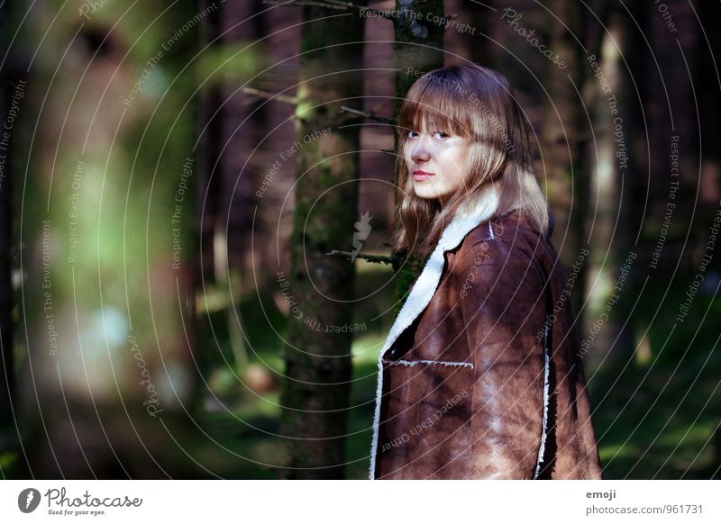 in the wood Feminine Young woman Youth (Young adults) 1 Human being 18 - 30 years Adults Environment Nature Autumn Forest Dark Natural Colour photo