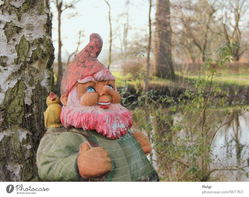 funny fellow... Environment Nature Landscape Plant Water Beautiful weather Tree Tree trunk Birch tree Pond Garden gnome Looking Stand Exceptional Happiness