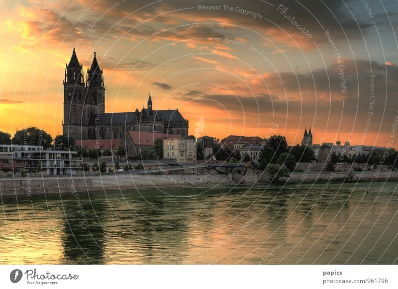 Magdeburg Cathedral in the evening light Water Sky Clouds Sun Sunrise Sunset Sunlight Summer Beautiful weather Tree River bank Capital city Old town Populated
