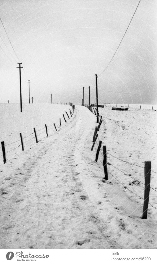 Winter landscape | beginning and end. Snowscape Hill Upward Direction Incline Field Bad weather Gray Wood Fence Loneliness Calm Goodbye Come Going