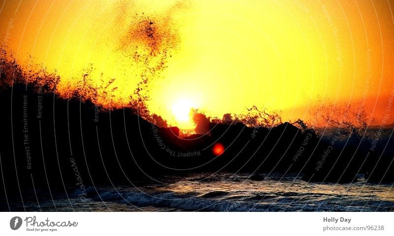 Waves and sunset Ocean Surf Sunset Beach Black Longing Vacation & Travel Los Angeles Summer Coast Water Evening Orange Rock venice beach