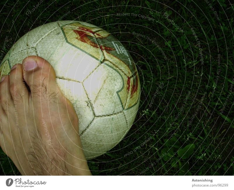 Football Skin Sports Ball sports Soccer Foot ball Legs Feet Leather Playing Stand Dark Bright Round Green White Toes Toenail Lawn Meadow Honeycomb