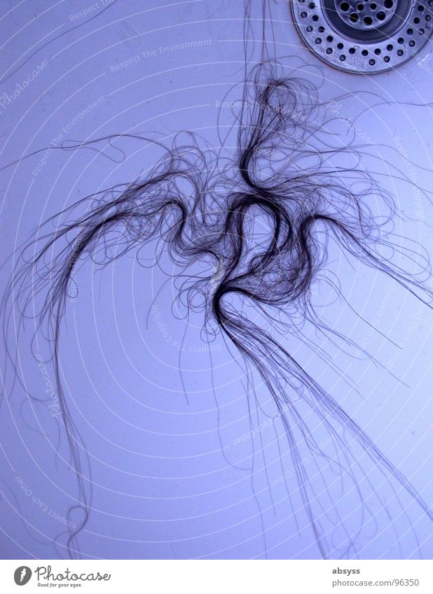 Hair Painting Black Long Joint residence Tasty Drainage Strange Abstract Curved Bathroom Hair and hairstyles Blue bizarre Structures and shapes Line lines