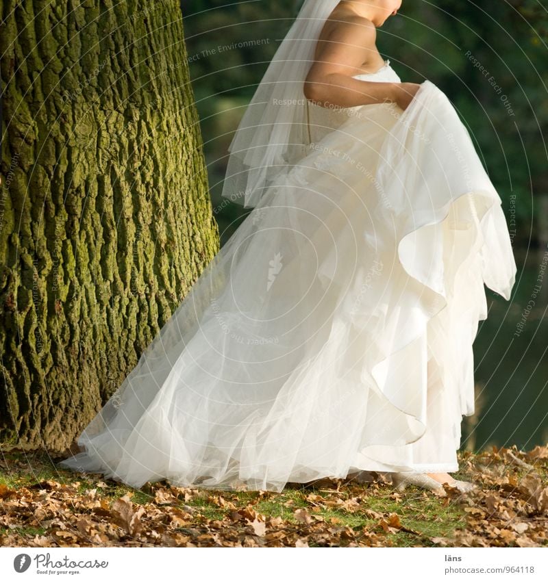 You're out of here. Wedding Human being Feminine Young woman Youth (Young adults) Body 1 Tree Dress Wedding dress Going Happy Anticipation Love Infatuation