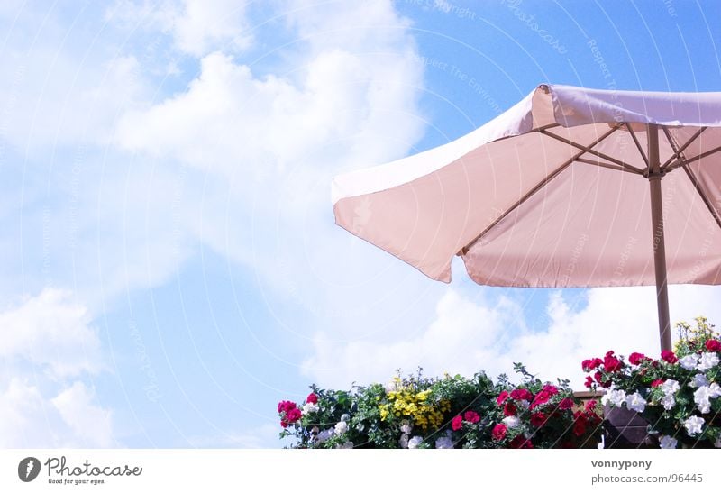 Well protected Flower Sunshade Multicoloured Balcony White Physics Summer Clouds Farm Vacation & Travel Weekend Franconia Sky Blue Protection Above Warmth