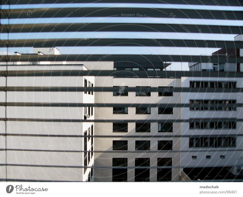 PART OF IT - SAME OLD BUSINESS Work and employment Workplace Window Building House (Residential Structure) Stripe Venetian blinds Graphic Gloomy Longing
