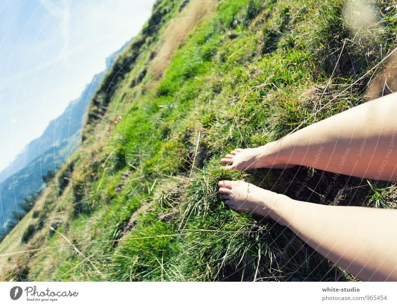 chill Human being Feminine Young woman Youth (Young adults) Woman Adults Legs 1 18 - 30 years Nature Landscape Cloudless sky Summer Grass Bushes Meadow Hill