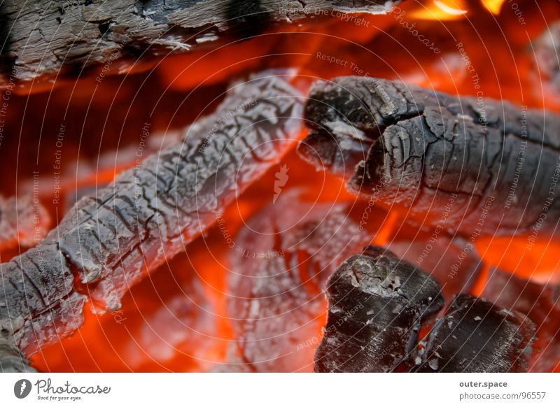 it's warm in here Embers Barbecue (event) Hot Incandescent Wood Macro (Extreme close-up) Close-up Blaze Ashes