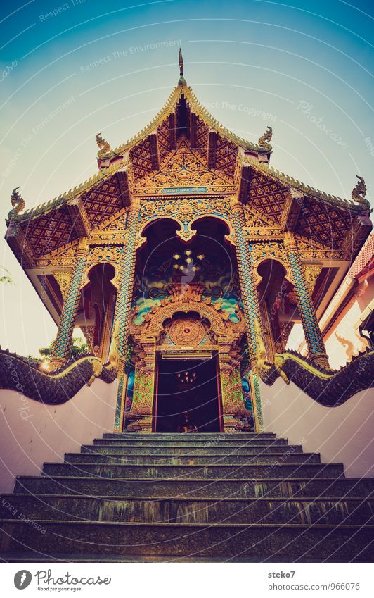 Temple of ... Chiangmai Stairs Blue Gold Pink Discover Eroticism Religion and faith Spirituality Colour photo Lomography Deserted