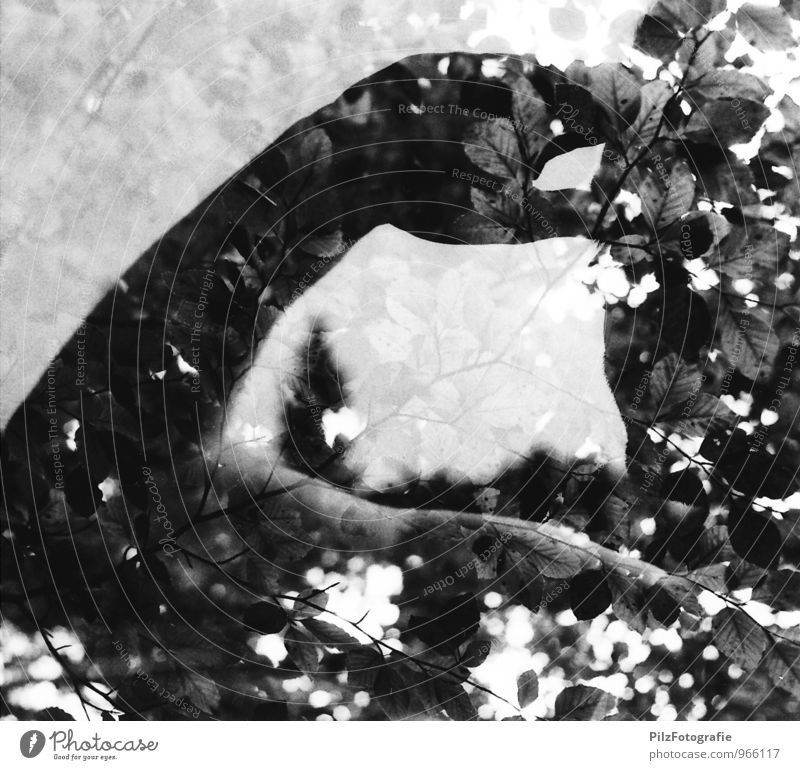 Saluting in the forest Masculine Head Arm 1 Human being Tree Branch Leaf Twigs and branches Nature Double exposure Salute Looking Black & white photo