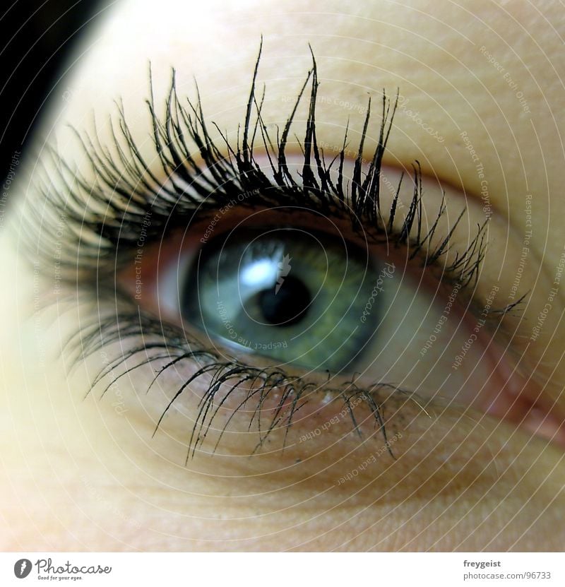Sad? Face Eyes Blue Gray Green Colour Eyelash Pupil eye lashes volumes Iris Multicoloured Close-up Macro (Extreme close-up)