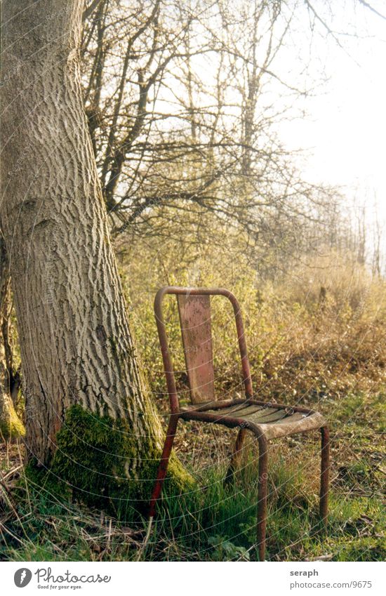 Silence Tree Calm Break Grief Loneliness Relaxation Remote Autumnal Environment Derelict Scrap metal Oak tree Tree bark Meadow Broken Bushes Furniture Time
