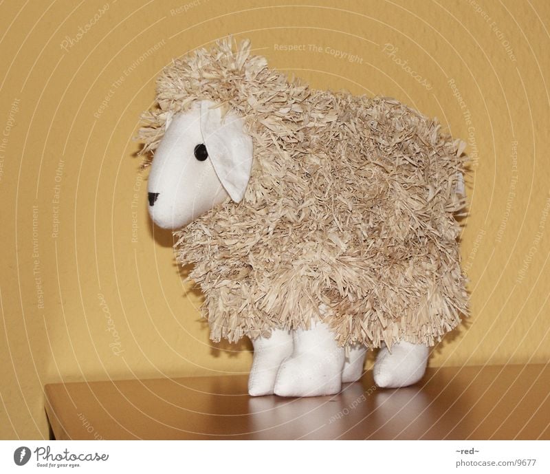 sheep Sheep Animal Decoration Junk Odds and ends Lawnmower Pet Living or residing Yoo-hoo no cow