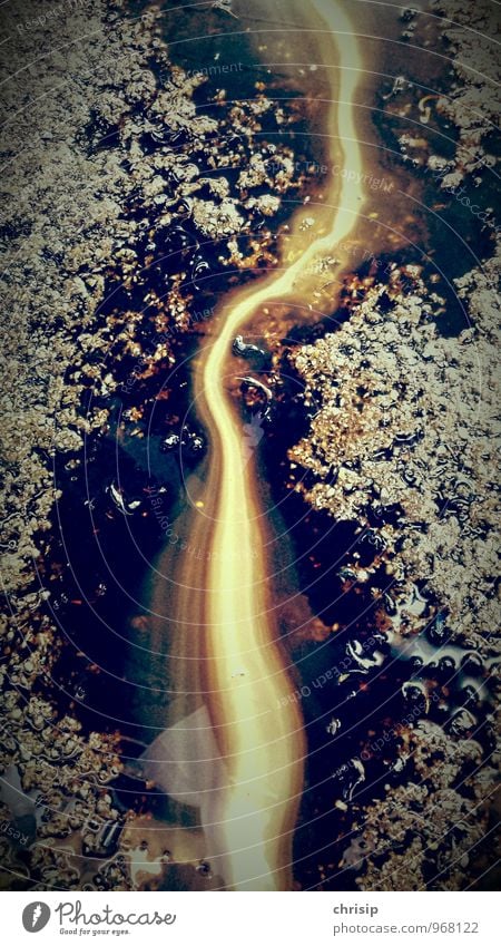 vein of gold Environment Nature Water Brook River Dirty Fragrance Fluid Wet Slimy Beautiful Brown Yellow Gold Black Happy Environmental pollution