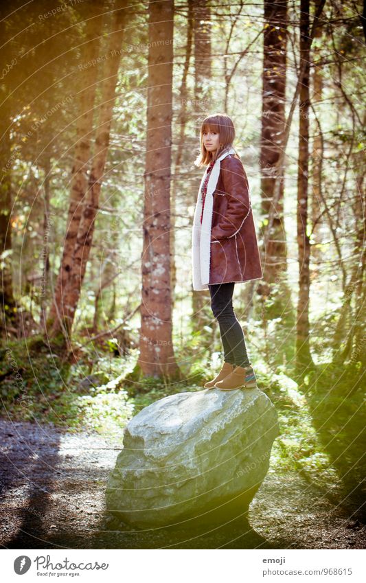 autumn Feminine Young woman Youth (Young adults) 1 Human being 18 - 30 years Adults Environment Nature Landscape Autumn Beautiful weather Forest Stone Balance