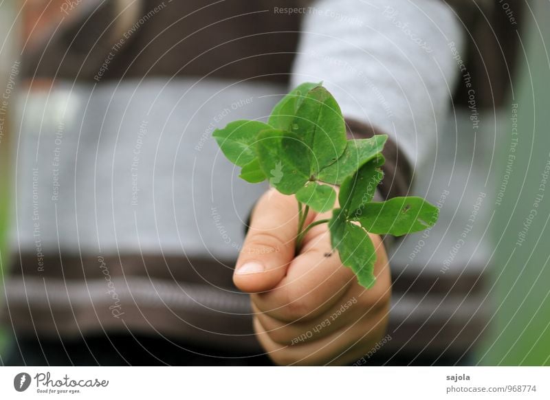 happiness³ Human being Androgynous Child Toddler Hand 1 1 - 3 years Environment Plant Foliage plant Agricultural crop Clover Cloverleaf To hold on Happy Donate