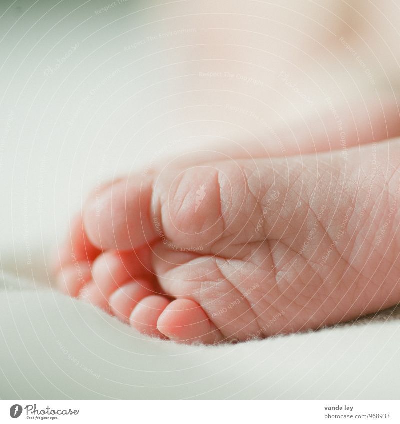children's feet Human being Child Baby Infancy Life Body Skin Feet 1 0 - 12 months Responsibility Attentive Trust Newborn Birth Diminutive Small Toes