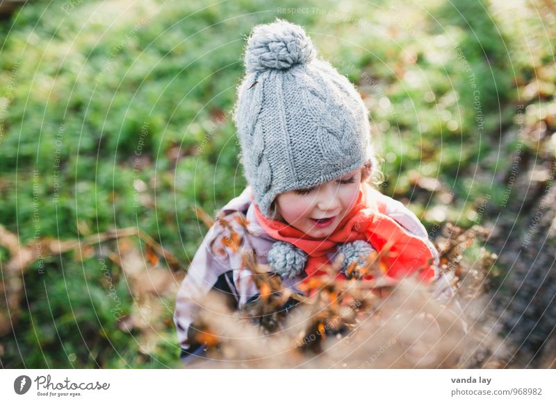 autumn Child Girl 1 Human being 3 - 8 years Infancy Autumn Garden Concentrate Cap Tuft Shriveled October November mood Colour photo Day